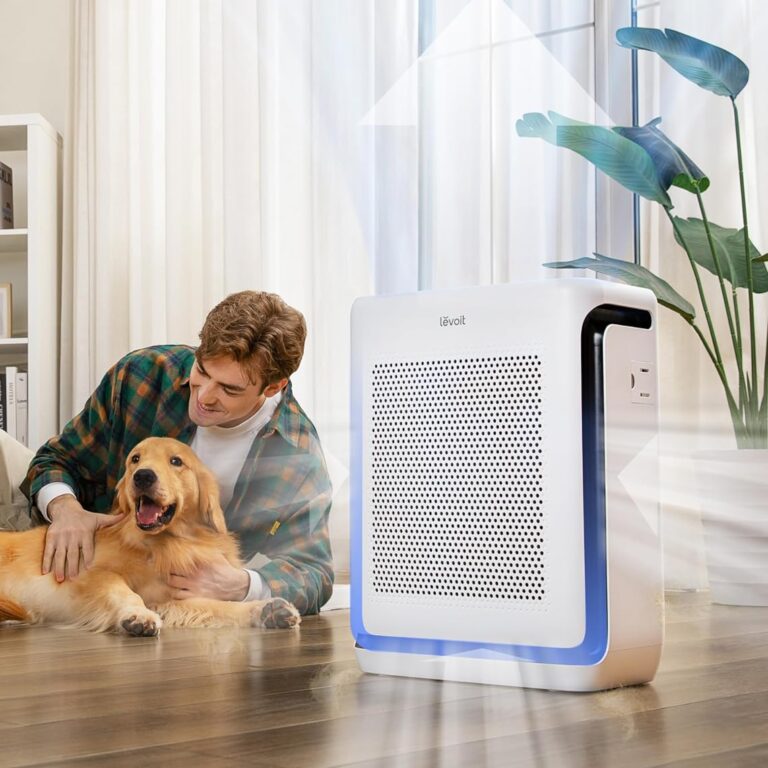 Best Air Purifier With Washable Filter