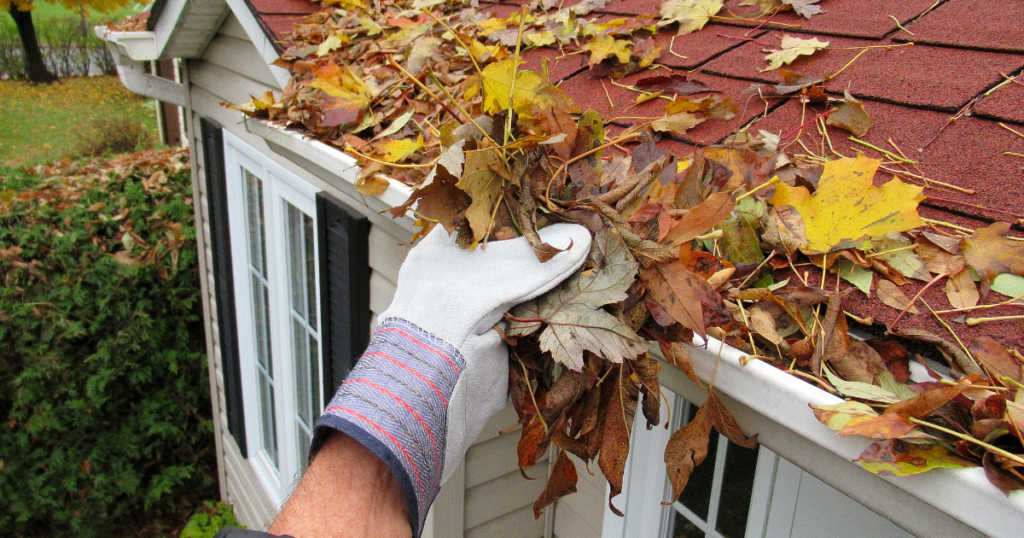 Cleaning The Gutter for Roof Maintenance