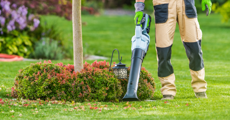 Best Leaf Blower